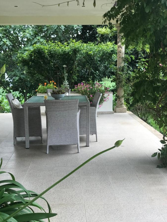 Camelias Bed & Breakfast Guimarães Екстериор снимка